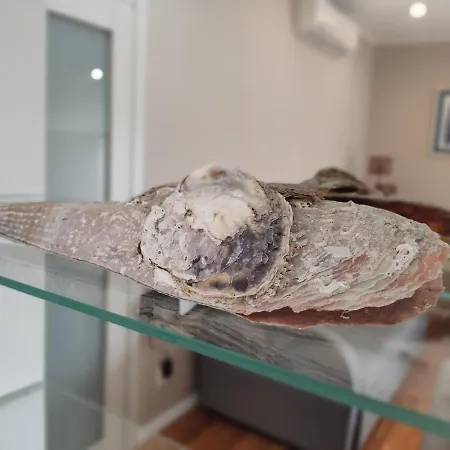 شقة Sunset View - Cozy With Stunning Panoramic View